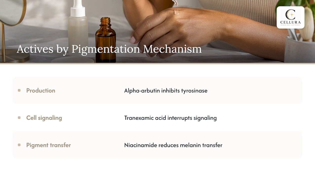 Explanation of the mechanism of key actives like alpha-arbutin and tranexamic acid in disrupting pigmentation process — overview diagram